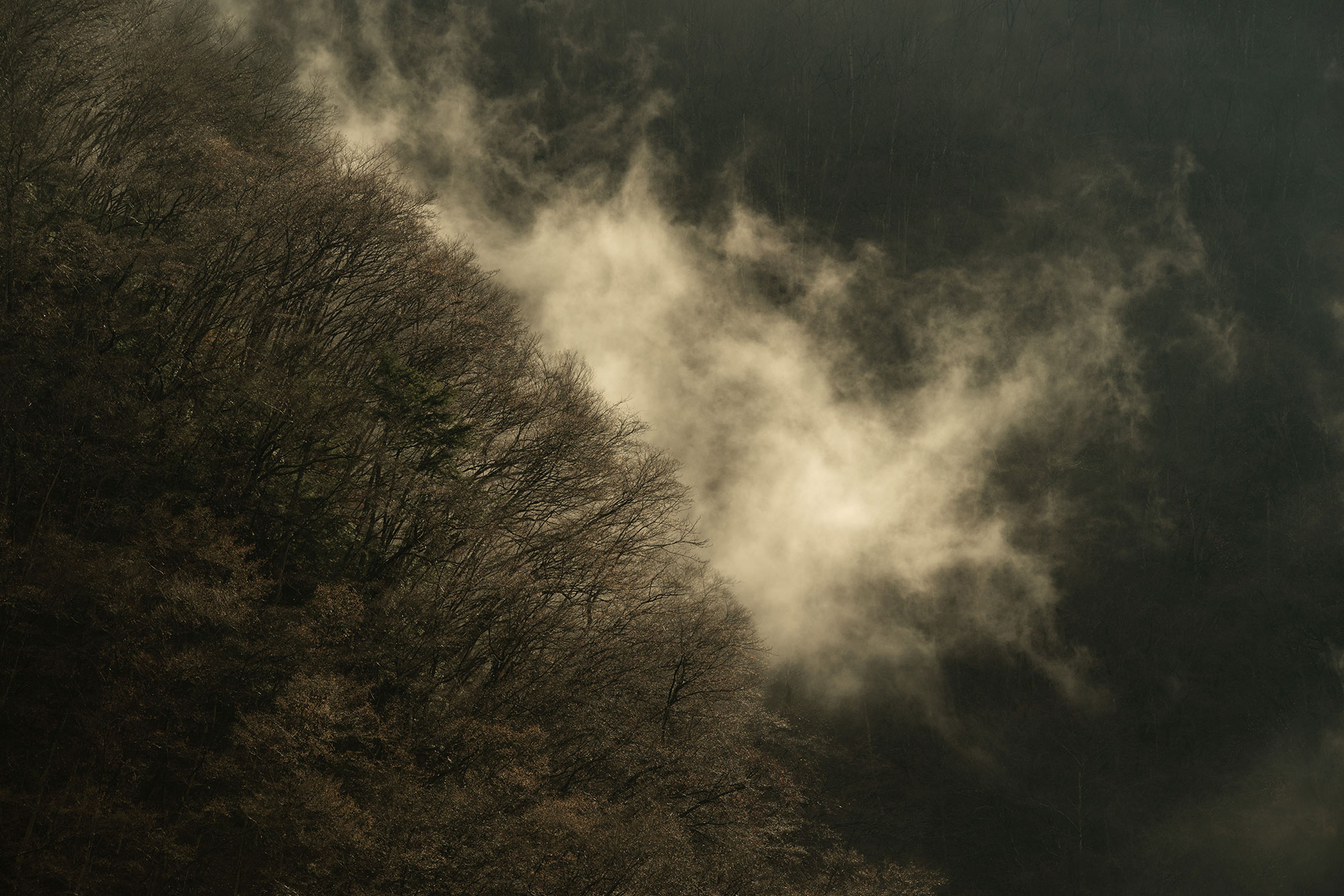 Earth_Investigator 作品 1